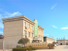 �����ſ�